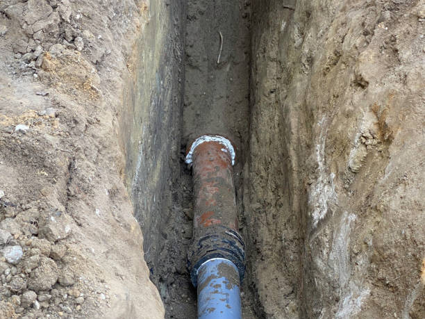 Best Flood damage cleanup  in Rockledge, FL