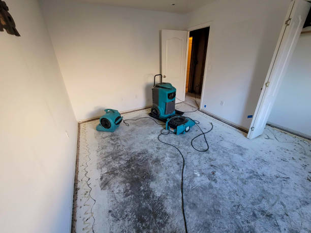 Best Commercial water damage restoration  in Rockledge, FL