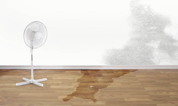 24/7 water damage repair in Rockledge, FL