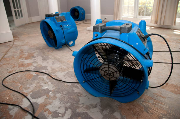 Best Sewage cleanup and water damage restoration  in Rockledge, FL