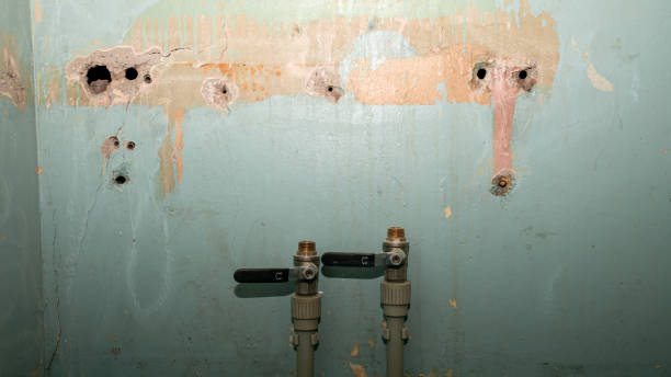 Rockledge, FL Water damage restoration Company