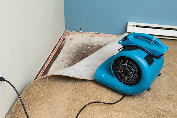 Best Flood restoration services  in Rockledge, FL