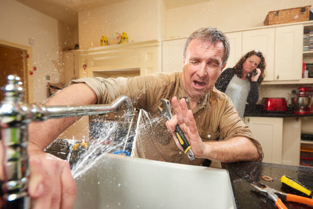 Best Mold removal after water damage  in Rockledge, FL